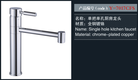 [Shower / Faucet / Accessories] Y-7017CFS Y-7017CFS